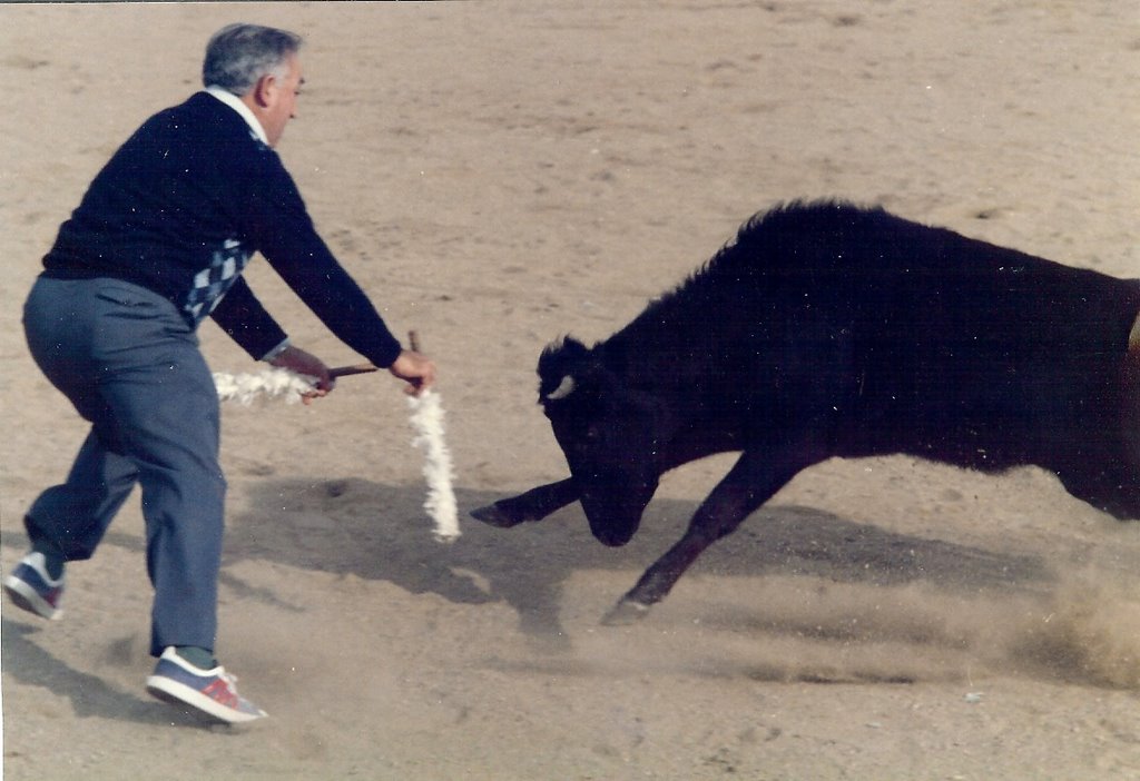 El banderillero by Angel Madrileño