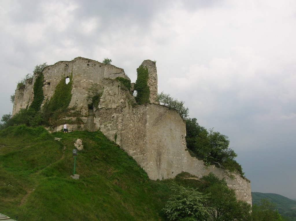 Chateau Gaillard by hutch71