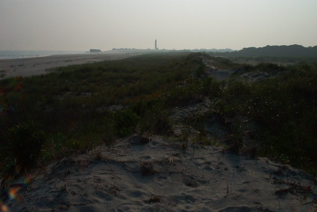 Cape May Point Light from Migratory Bird Refuge by Chris Sanfino