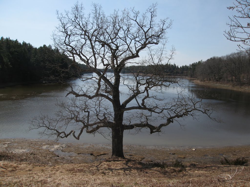 From Hamilton House, on the Salmon Falls River by Matt Vadeboncoeur