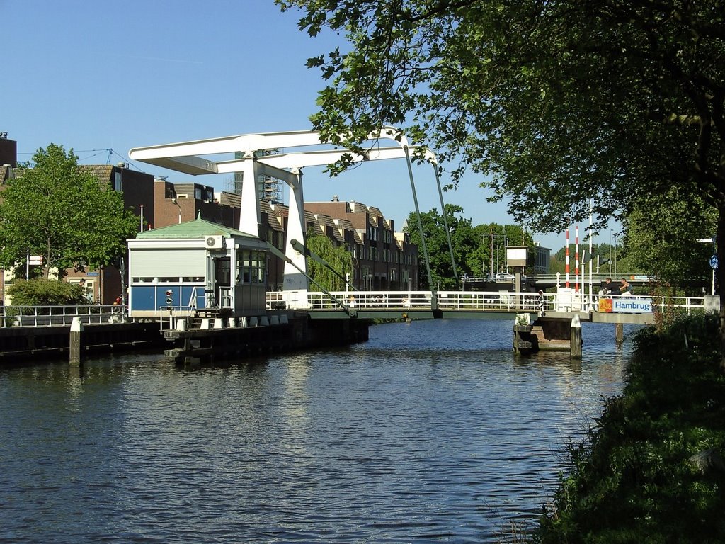 Hambrug bycicle bridge - Delft by guppy_34