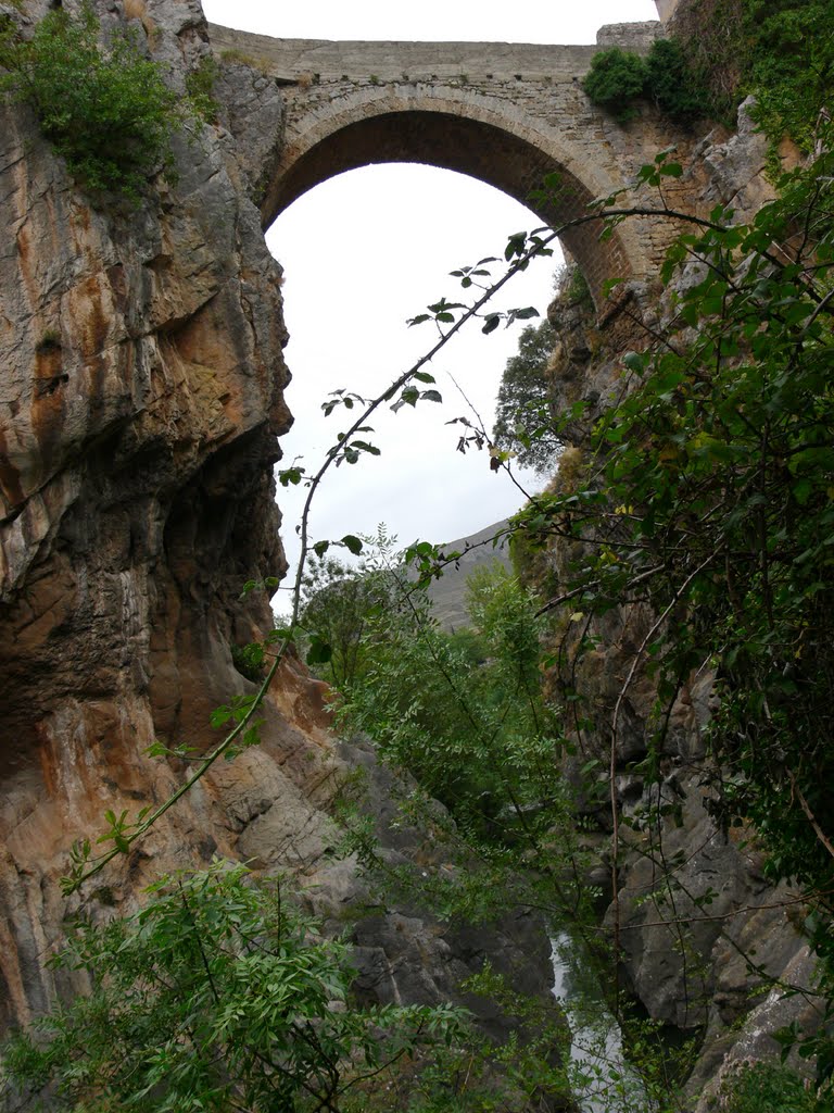 ANGUIANO (Valle del Najerilla-La Rioja). 2009. 03. Puente de Madre de Dios (sXVIII). by Carlos Sieiro del Nido