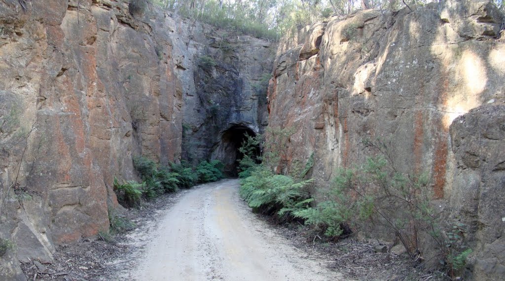 1st Newnes Rail Tunnel by marhleet