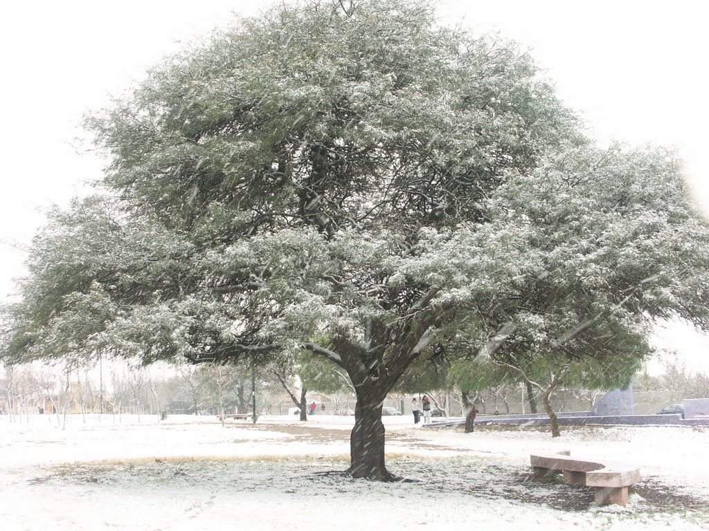 Invierno en el parque de la vida by gfraticelli