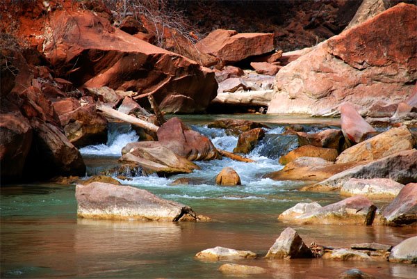 Zion NP Stream by cgurling