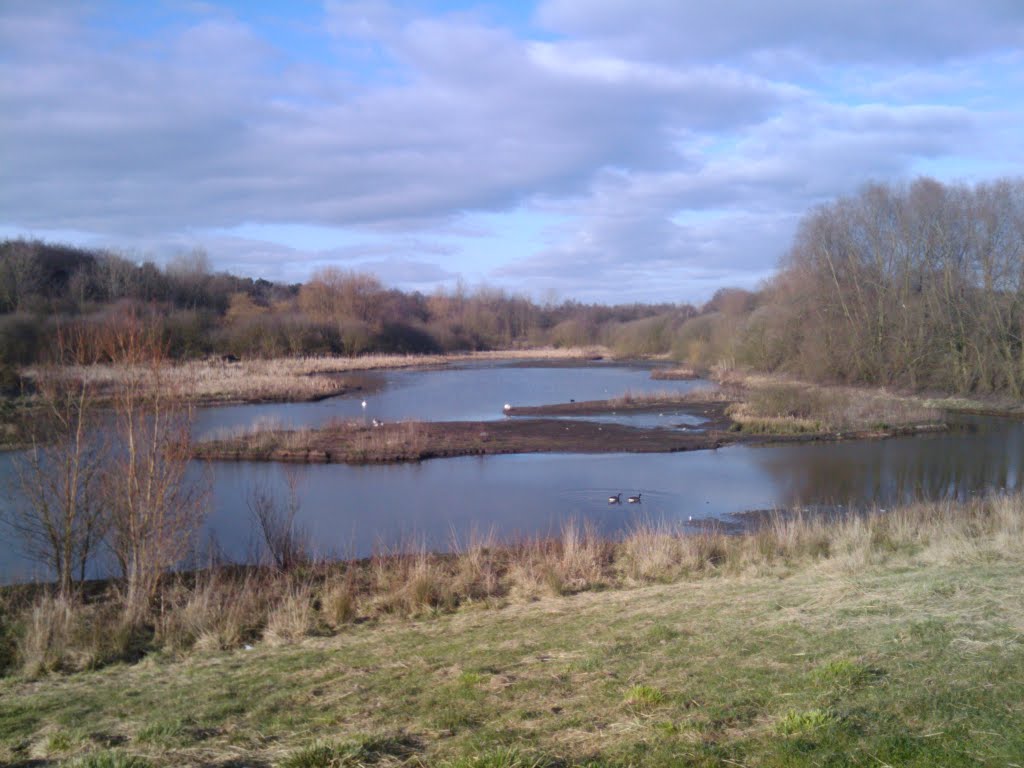 Mill Green and Hawkes Green nature reserve by matafwali