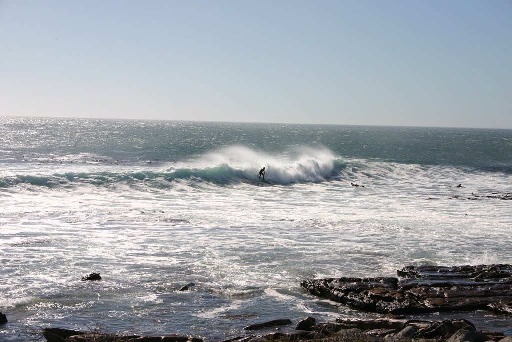 Surfing in Kommetjie by Tillie