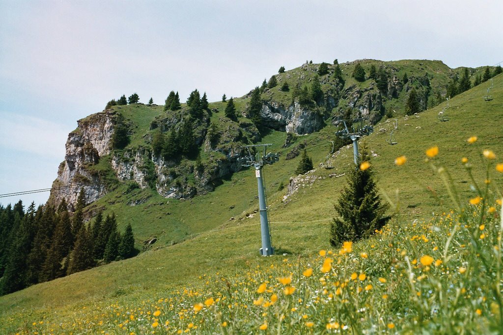 Kitzbuhelhorn 2000meter 2003. by Richard van den Brink, Jobri's Gallery