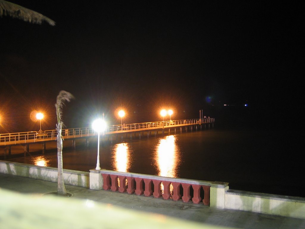 Muelle de noche by feliz