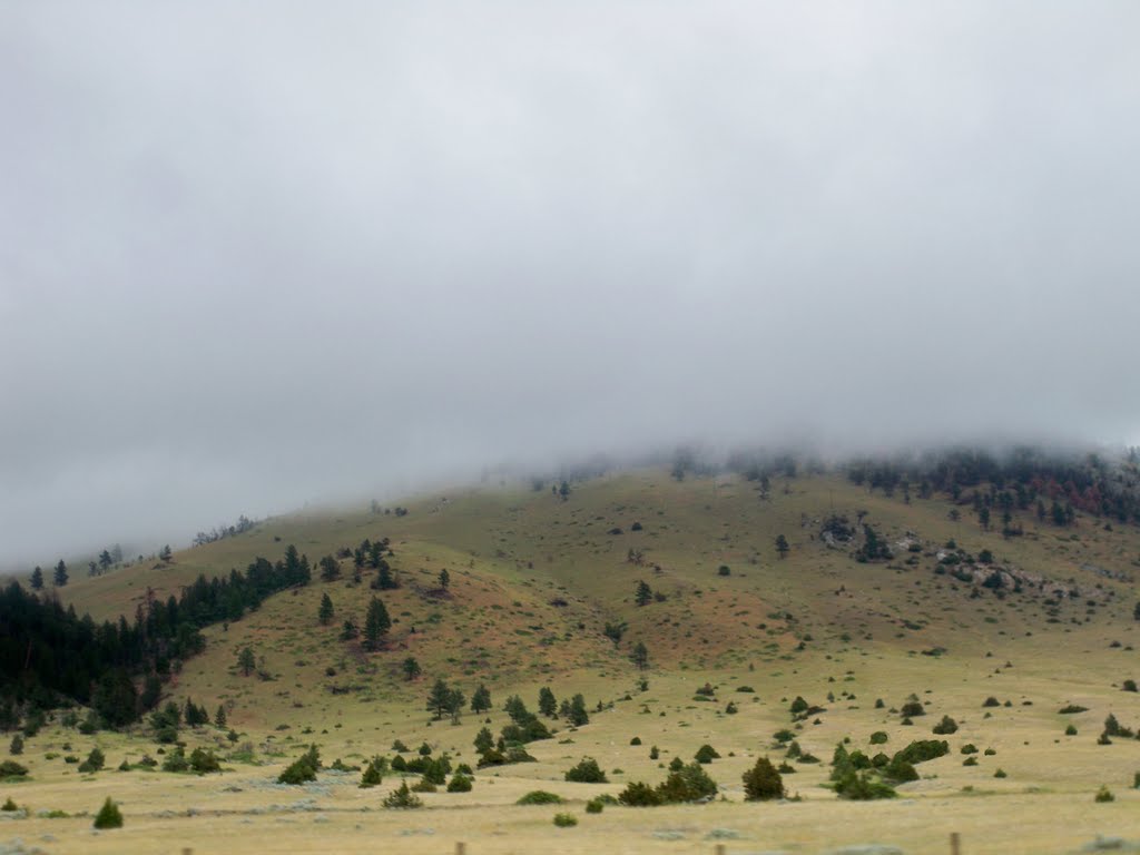 THE FOG COVERING HILLS,MONTANA,(LA NIEBLA CUBRIENDO LAS COLINAS)U.S.A. by ╰☆❤JossetteD❤☆╮