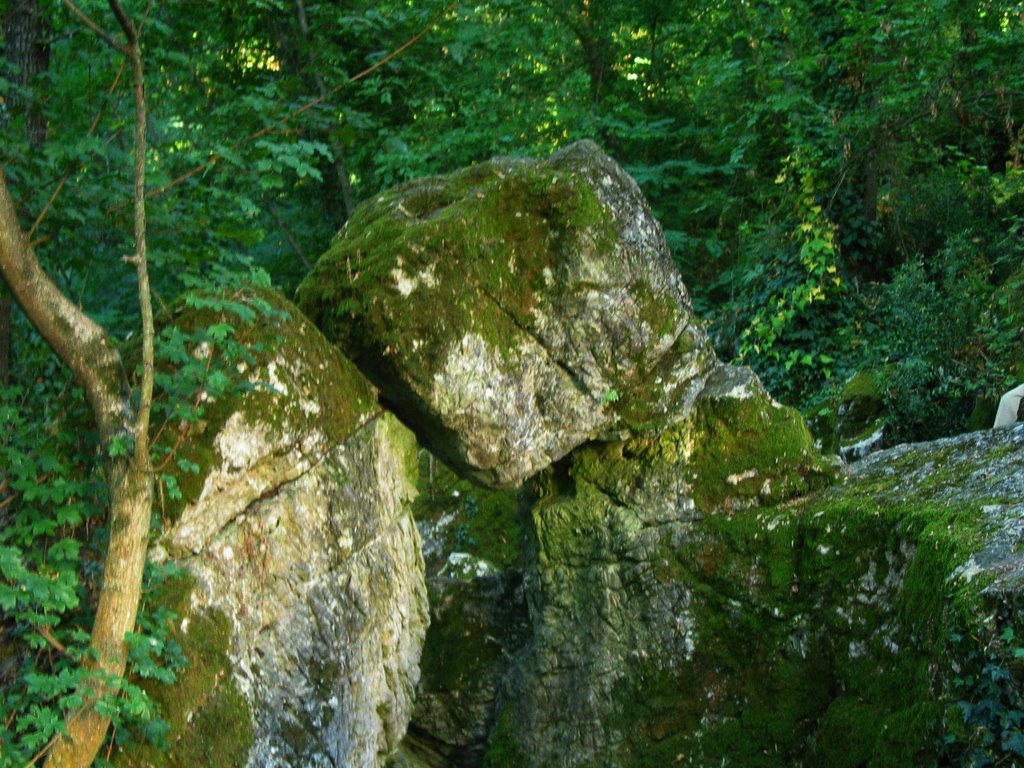 Tetralite della Farfalla Dorata di S. Lorenzo by Andreaser