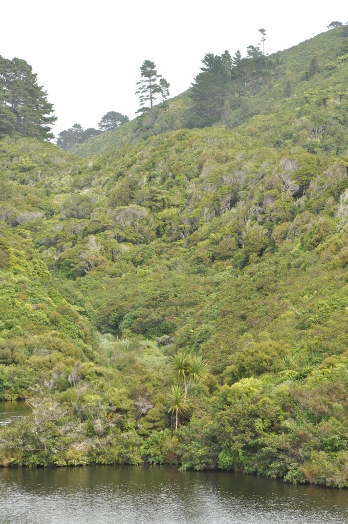 Karori Wildlife Sanctuary by AnonymousKiwi