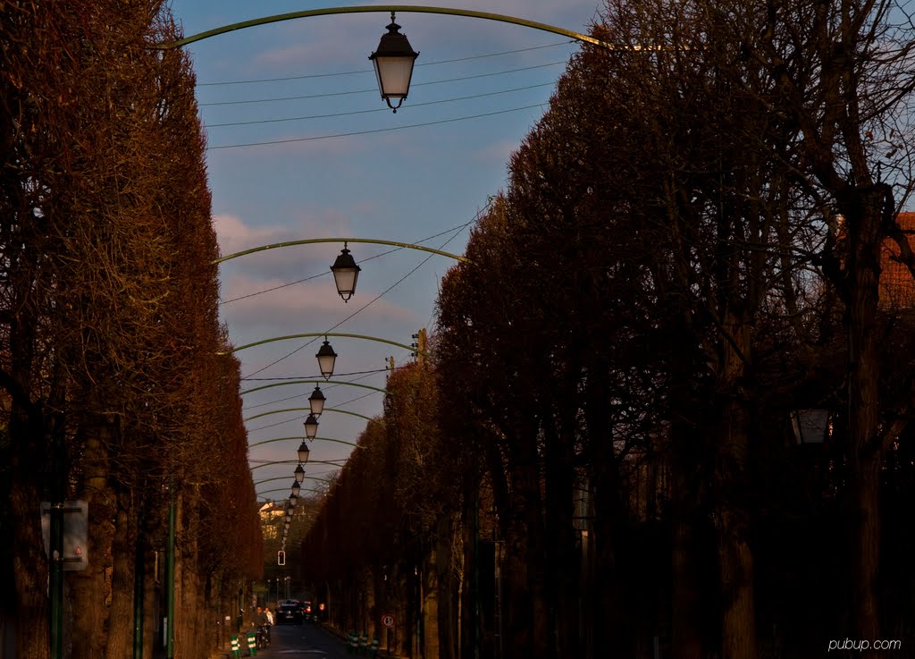 Avenue de l'Imperatrice Josephine, Rueil-Malmaison by pubup