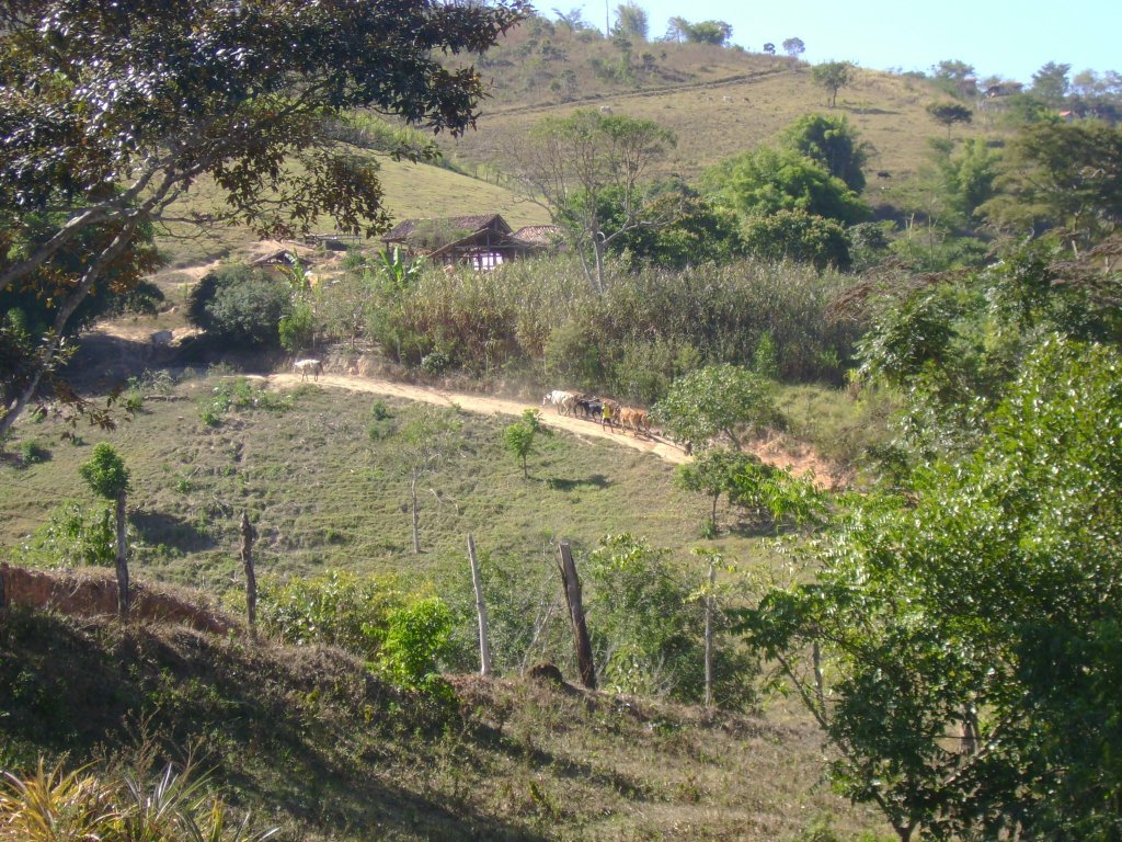 Vila de Tabuleiro - Vaquinhas by Jarbas Araujo Jr