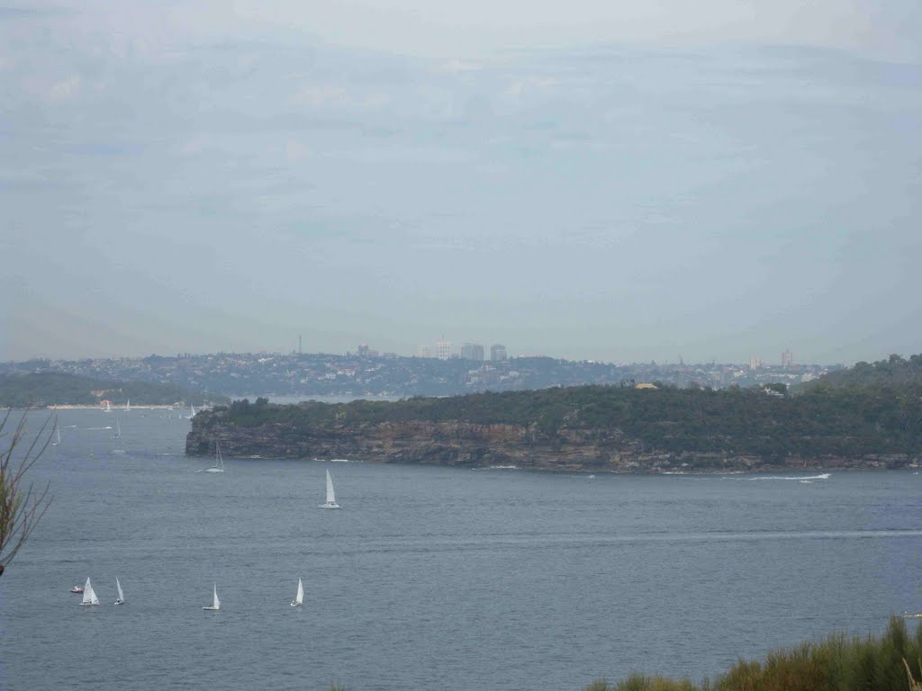 View of Middle Head from Grotto Point Reserve by robsonap