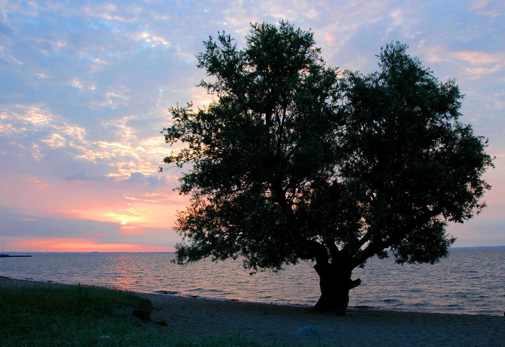 Sletten Beach at Dawn by Lui Brandt