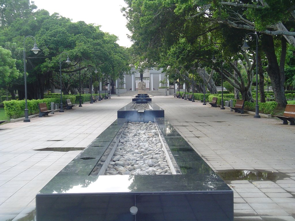 Fuente Liniar, Parque Muñoz Rivera. San Juan. P.R. by Hector Vincent Alvar…