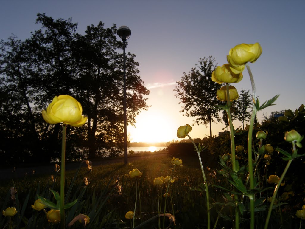 Pinsesolen Pinsemorgen by Carsten Wiehe