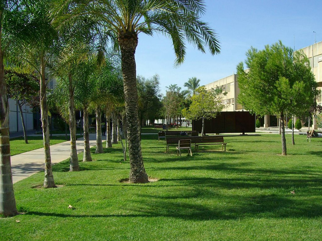 Universidad Politécnica de Valencia (UPV) by José Luiz Gonzalez