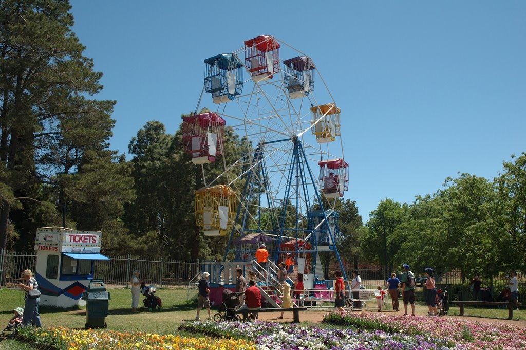 Ferris Wheel at City Park by SammyB428