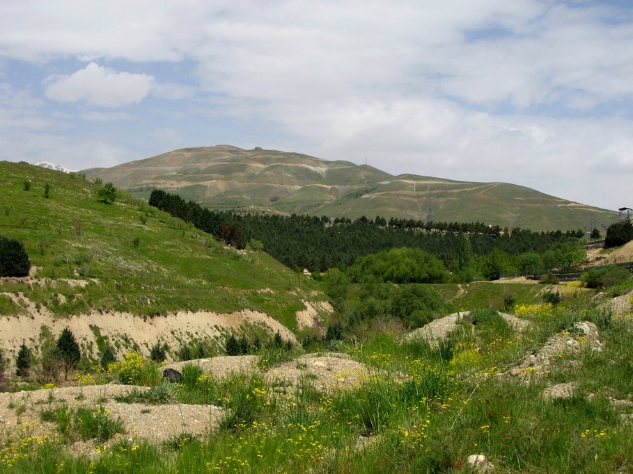 A North View of Tehranpars by Behrooz Rezvani