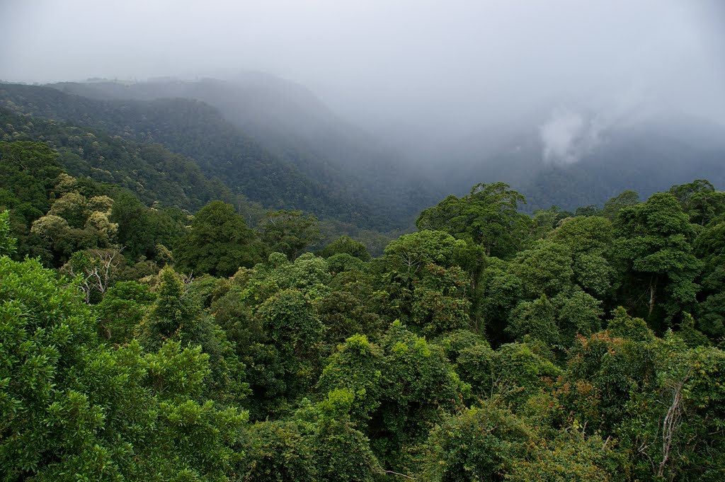 Dorrigo Escarpment by snucklepuff