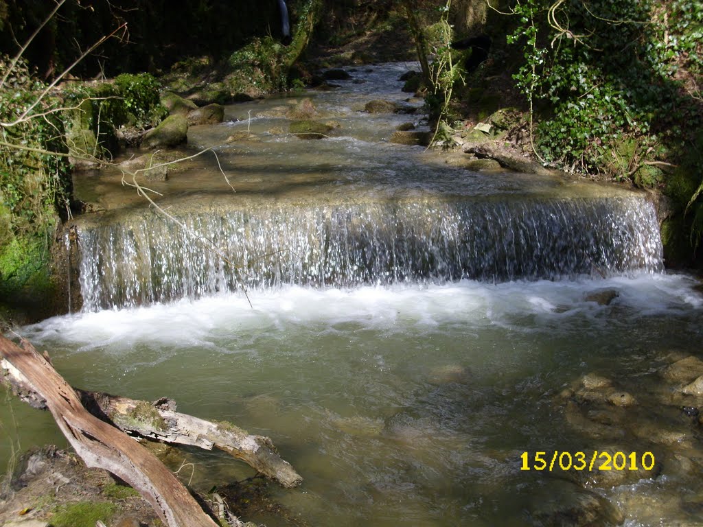 The river at Tregargus woods near Nanpean by Andrew(ollie)Johnson