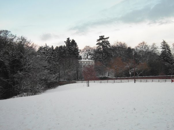 Westgate Fields by gilesyc