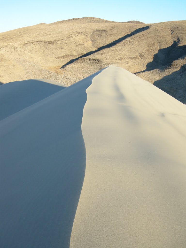 Looking North along the knife-edge of the dune's ridge - Dec 2008 by MaxFarrar