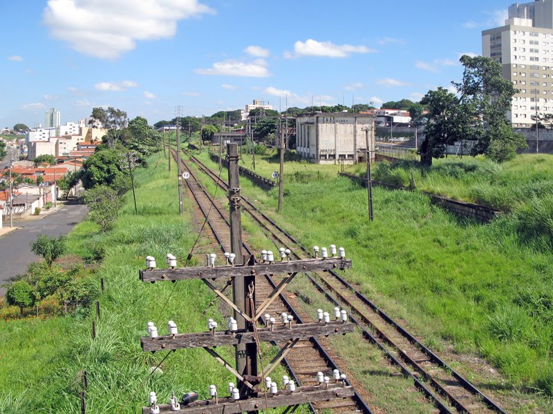 Campinas, SP - uma cidade com muito (mato) verde - março/2010 by Eduardo M. P. Dantas