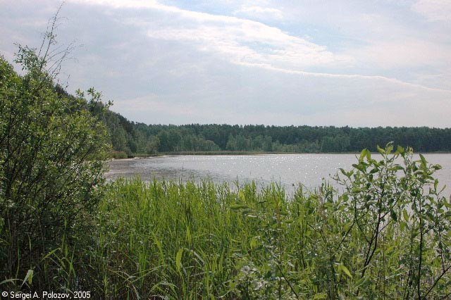 Mazurinskoe Lake - 3 by Sergei A. Polozov