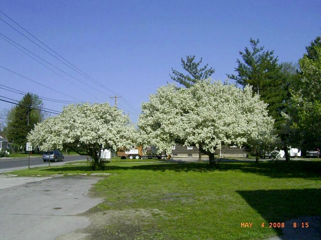 Spring in Clyde,Oh by Jerry Photo Gallery