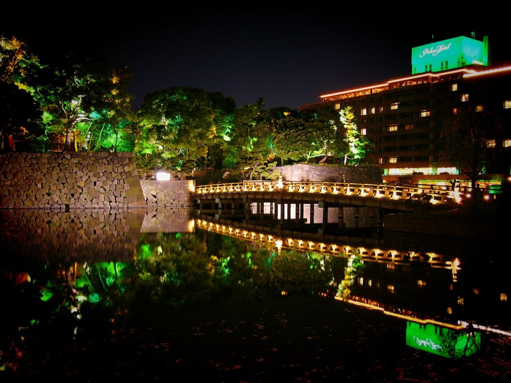 Wadakura-bashi Bridge 和田倉橋 [ys-waiz.net] by ys-waiz.net