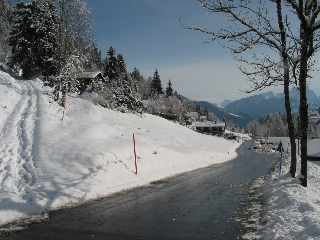 Main road and Leysin in the background by Roberto.Divia