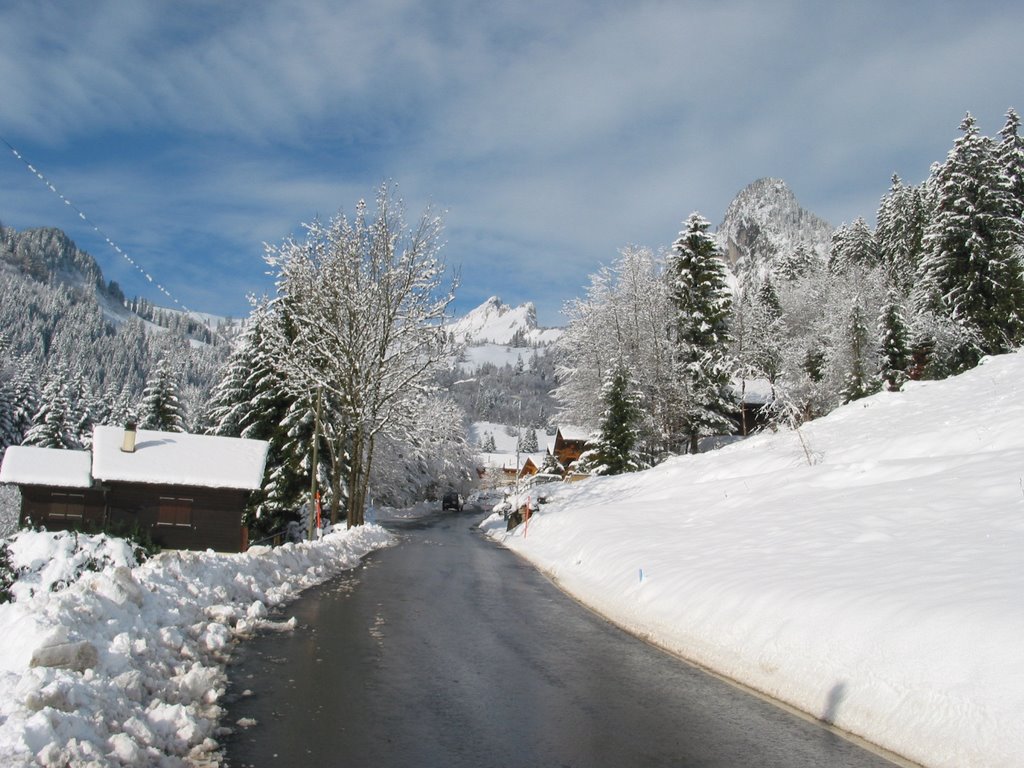 Road to the chalets by Roberto.Divia