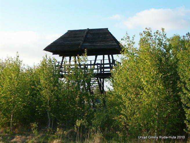 Wierza obserwacyjna w okolicy wsi Gotówka - Chełmskie torfowiska węglanowe - Obszar "Natura 2000" by Marcin Tarasiuk