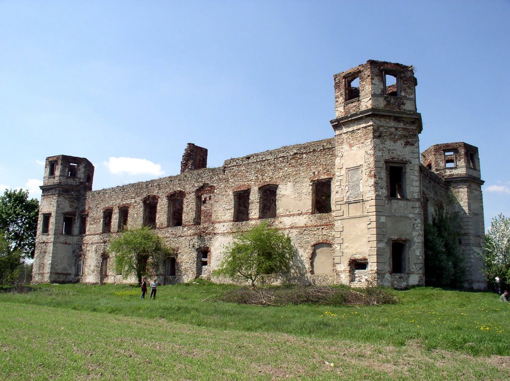 Ruins of palace in Podzamcze Piekoszowskie by Ł. Uzarowicz