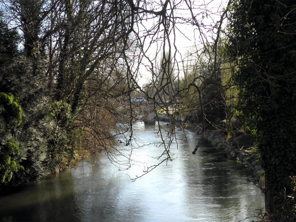 Dauphiné, la Bourbre à Pont-de-Chéruy ! by Marc BOVET-MORINON