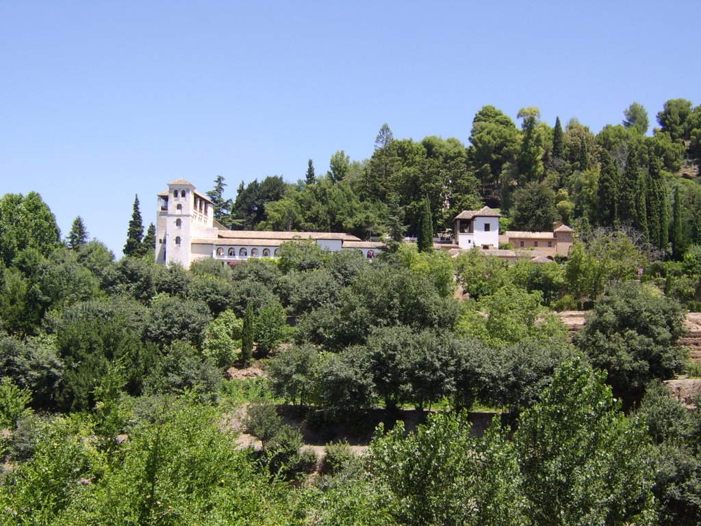 View of the Summer Palace by C. Mitchell