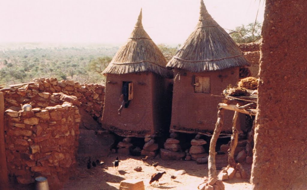 Village dogon by patnavi