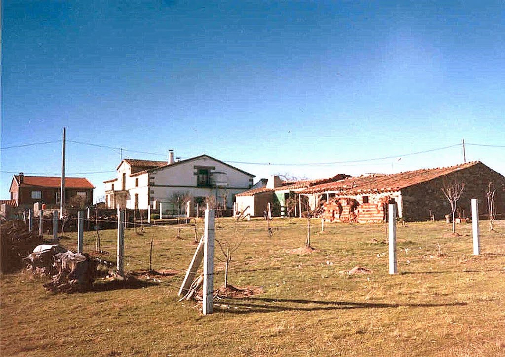 Dehesa de Pelazas, Sayago. Zamora 1991 by Aquielrafa