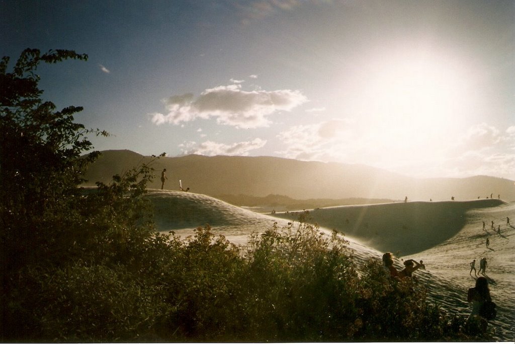 Dunas da praia da Joaquina - Florianópolis/SC by saffis