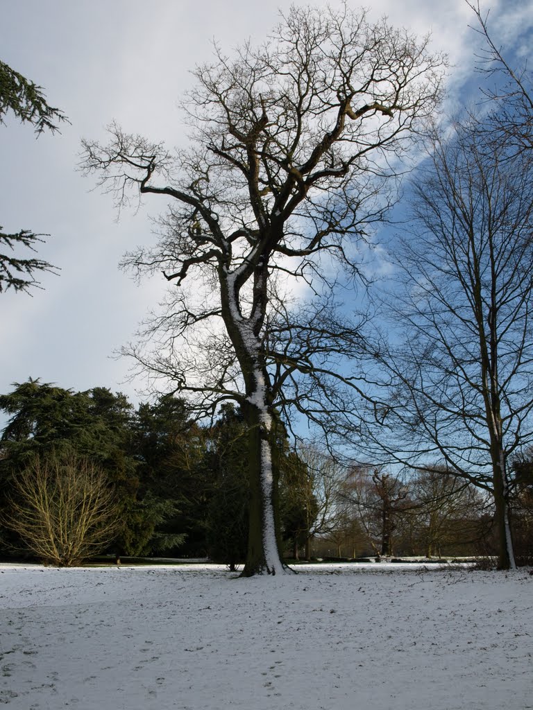 Earlham House Gardens by ARK4