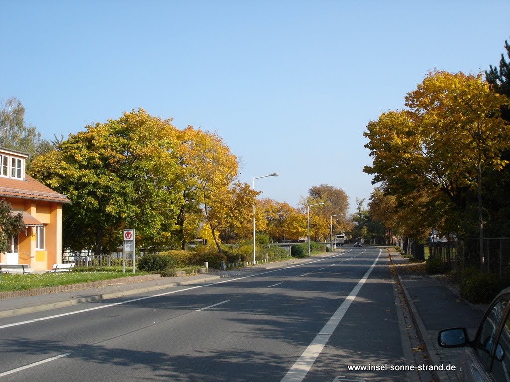 Dresden Seidnitz an der Pferderennbahn by Dresdner7777