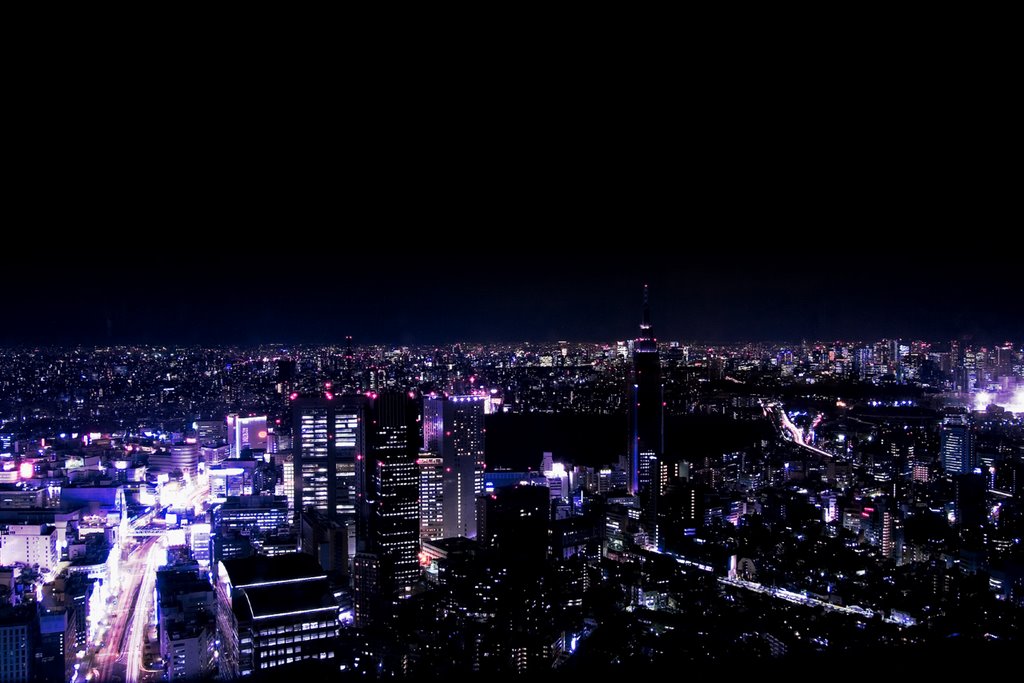 Park Hyatt Tokyo New York Grill/night view/パークハイアット東京-ニューヨークグリル/夜景 by mppp