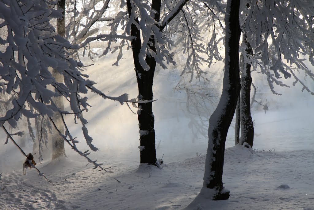 Winter auf dem Jägerdörfel by Karsten Schiller