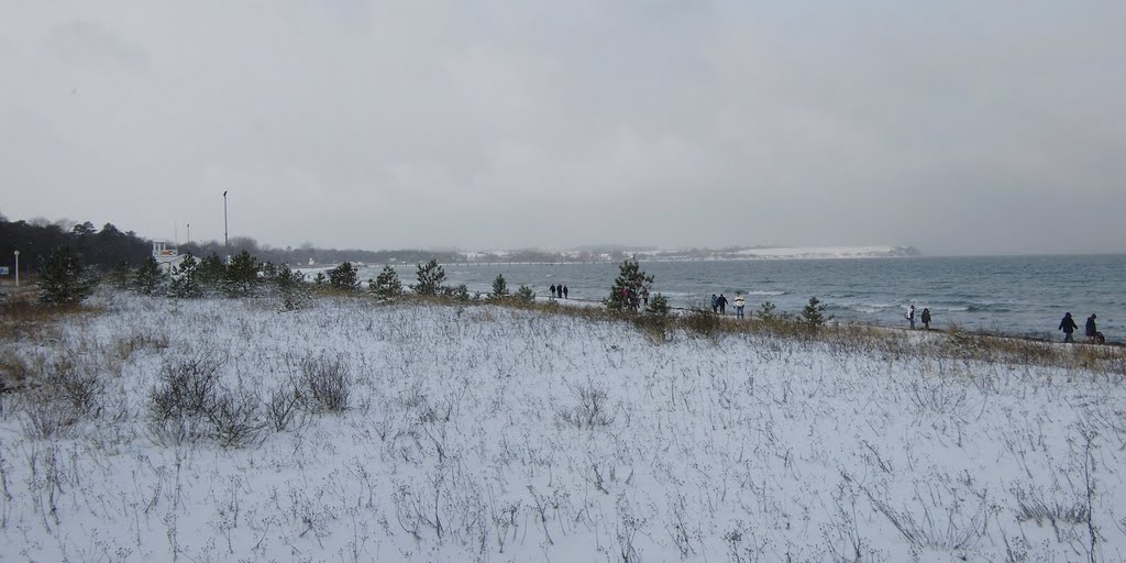 Winterstrand-Dünen-Wiesenblick ;) by •• HaHeBa (D) ••