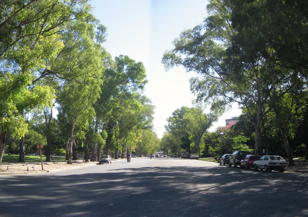 Bosque desde el monumento a Mitre by Flea Fly