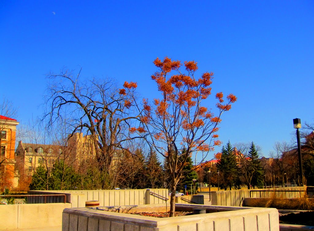 University Center of University of Manitoba by Md.Obaej Tareq