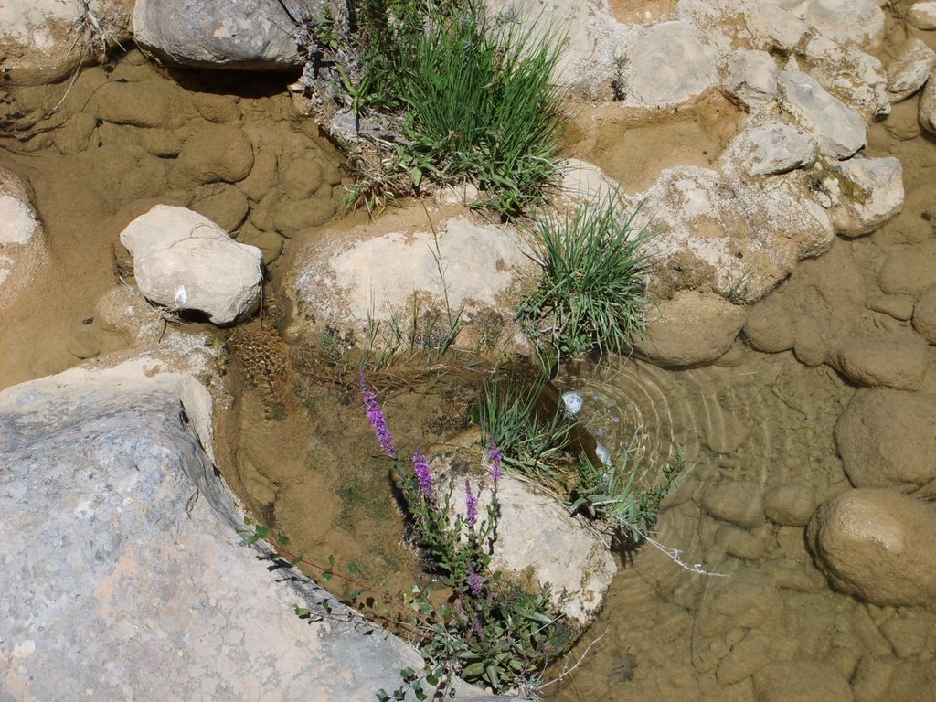 04220 Corbières, France by Yves en Provence